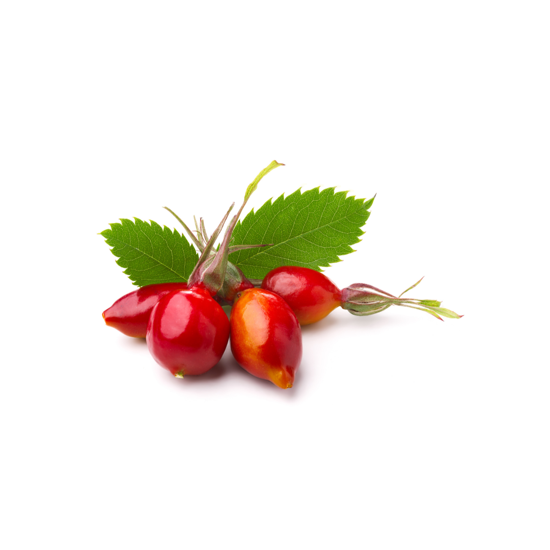 Rosehip Seed Oil